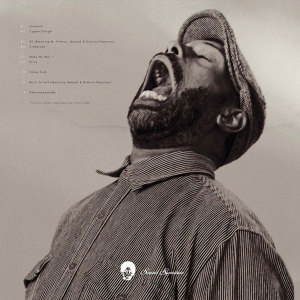  Theo Parrish ‎– American Intelligence