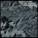 Joey Anderson ‎– Invisible Switch