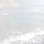 Dolphins Into The Future ‎– Ke Ala Ke Kua