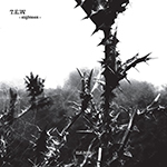T.E.W. ‎– Eighteen